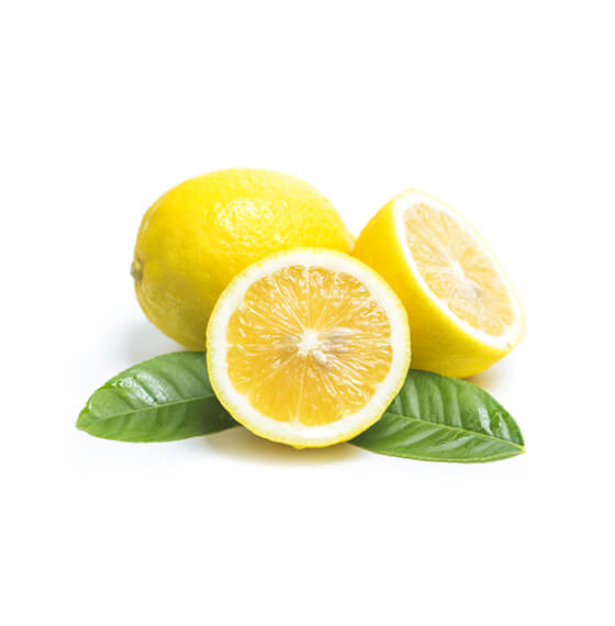 Vitalmento SPA | Distribuidora de alimentos al mayor en Santiago