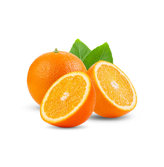 Vitalmento SPA | Distribuidora de alimentos al mayor en Santiago